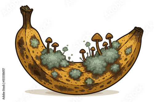 Rotten banana with mold and mushrooms growing, decaying fruit, fungus infestation, spoiled food concept, detailed vector cartoon illustration, isolated on white background, unhealthy produce