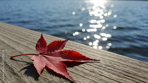 Red maple leaf on a wooden dock by sparkling lake water. Summer in Canada concept. Symbol of Canada.
