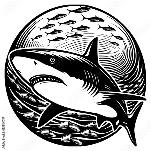 Shark.ai