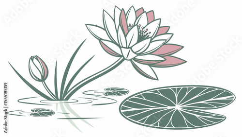 Elegant Water Lily Blossom with Bud and Lily Pad Illustration.