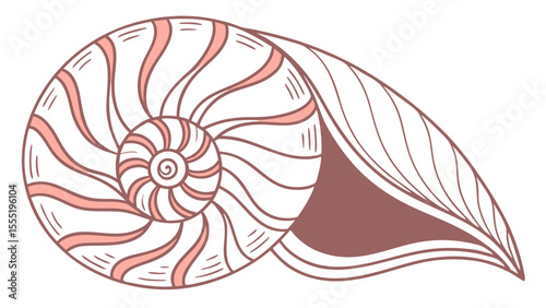 Nautilis Shell with Pink and White Spiral Pattern.