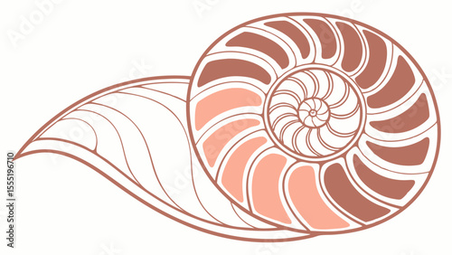 Stylized Illustration of a Nautilus Shell and Leaf Design.