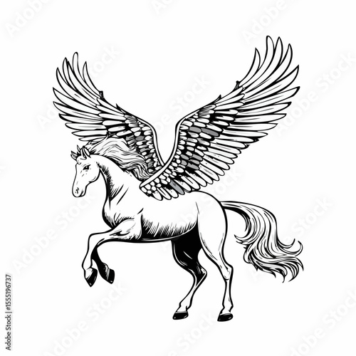 A Majestic Winged Horse Pegasus In Flight Image vector isolated on white background.