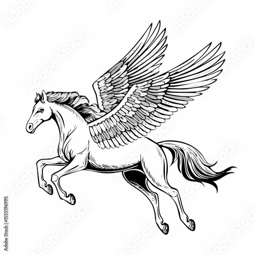 A Majestic Winged Horse Pegasus In Flight Image vector isolated on white background.
