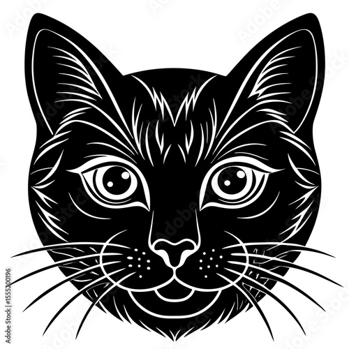 vector illustration of a cat