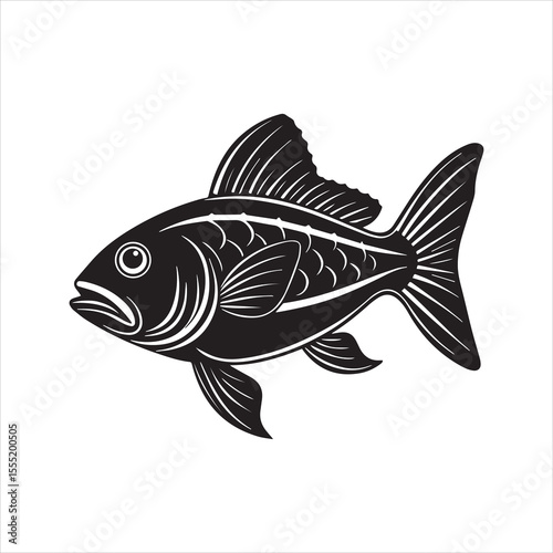 basa fish vector art illustration