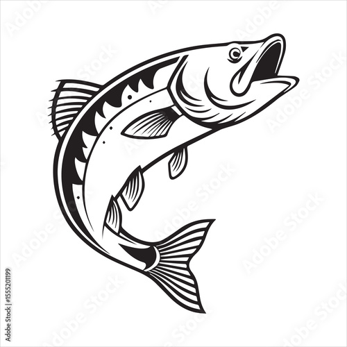 basa fish vector art illustration
