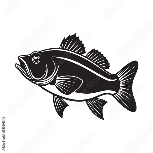 basa fish vector art illustration
