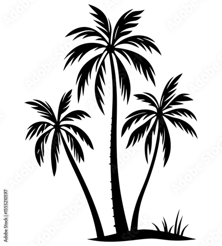 Palm tree silhouettes in tropical style with black vector design and transparent background
