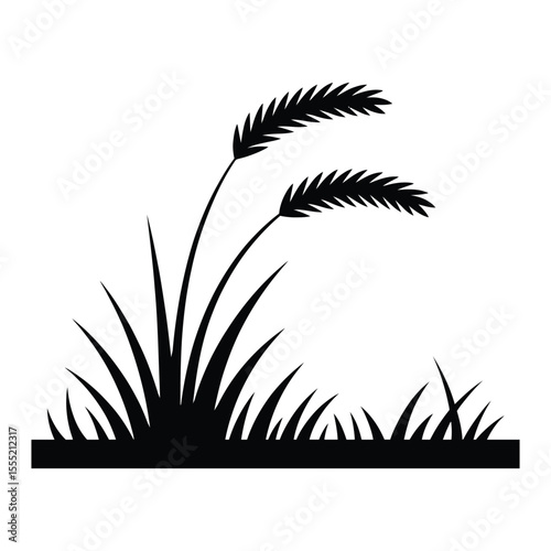 Grass Plumes Silhouette, Vector, Illustration, Line Art, Outline, Icon, White Background.