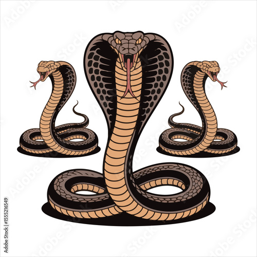 Cartoon Cobra Snake Vector Set,Aggressive Cobra Snake Illustration,Coiled Cobra Snake Clipart Collection,Vector Cobras with Fangs and Hood,Dangerous Snake Mascot Design,Colorful Cobra Snake Artwork