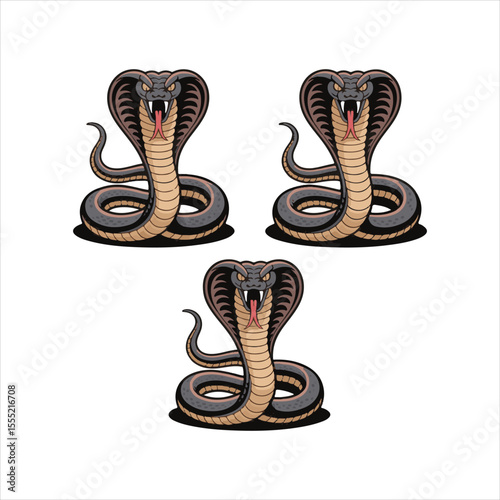 Cartoon Cobra Snake Vector Set,Aggressive Cobra Snake Illustration,Coiled Cobra Snake Clipart Collection,Vector Cobras with Fangs and Hood,Dangerous Snake Mascot Design,Colorful Cobra Snake Artwork
