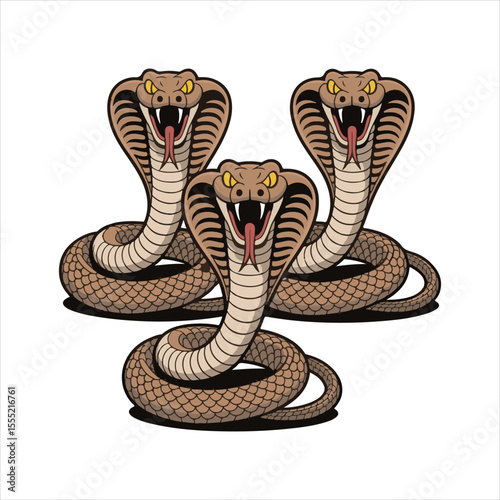 Cartoon Cobra Snake Vector Set,Aggressive Cobra Snake Illustration,Coiled Cobra Snake Clipart Collection,Vector Cobras with Fangs and Hood,Dangerous Snake Mascot Design,Colorful Cobra Snake Artwork