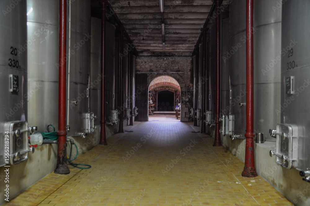 Obraz premium Château Virant