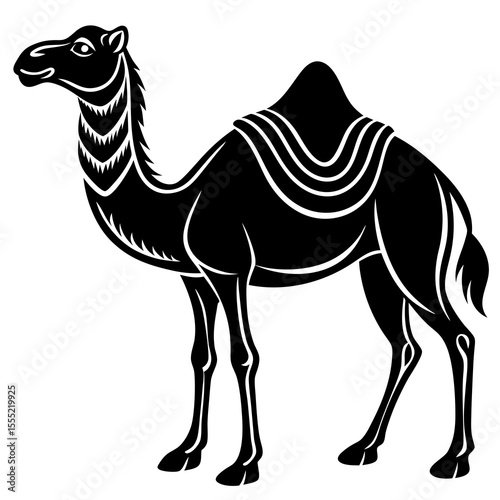 camel vector illustration