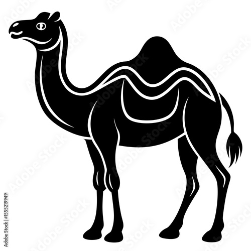 camel on the beach