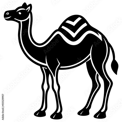 camel on the road