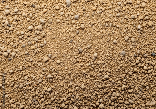 Natural Sand and Gravel Surface Close Up. A detailed view of tiny mineral fragments and particulate matter, creating a rich textured pattern. This ground material evokes foundational stability.