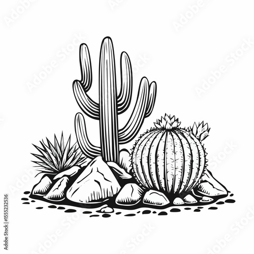 a group of cactus plants on the rocks image vector isolated on white background