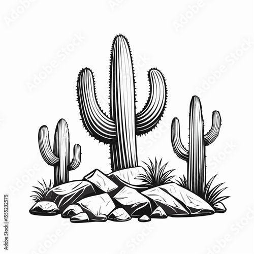 a group of cactus plants on the rocks image vector isolated on white background