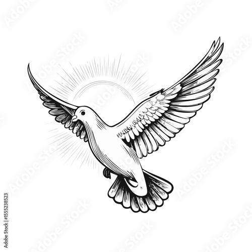 Dove flying in the sky with the sun shining behind it Image vector isolated on white background.