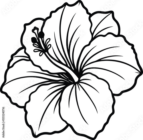 Detailed close up of a vibrant hibiscus flower with fully open petals showcasing intricate details and rich colors isolated on white background isolated on transparent background