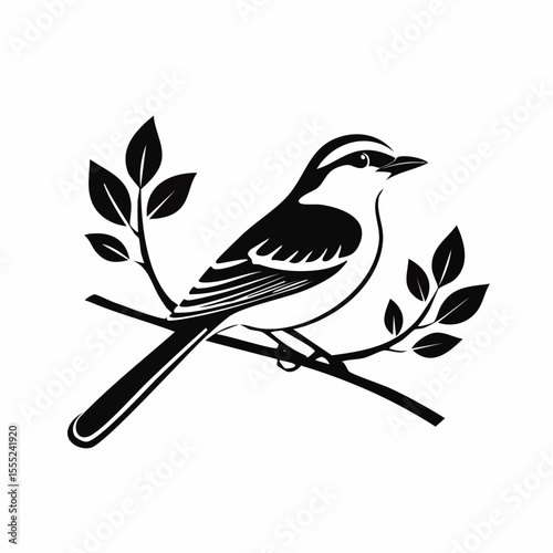 Black and white Northern Mockingbird Sitting In Tree image vector isolated on white background.