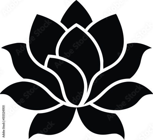 Beautiful magnolia blossom with delicate curled petal edges a detailed floral illustration isolated on white background isolated on transparent background