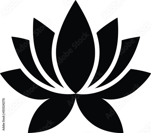 Elegant top down view of a blooming lotus flower with open petals showcasing natural beauty and symmetry isolated on white background isolated on transparent background