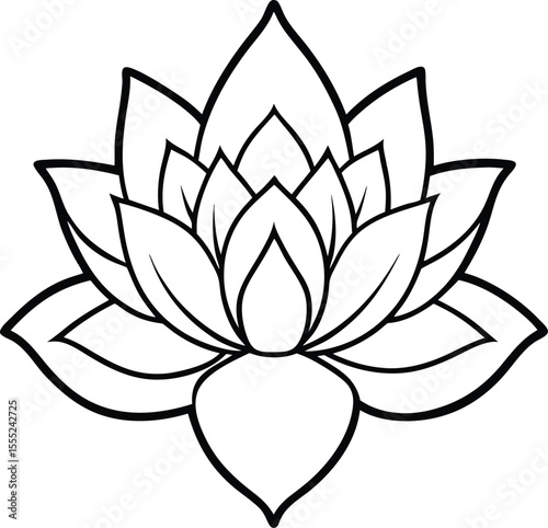 Elegant top down view of a blooming lotus flower with gracefully open petals showcasing natural beauty and tranquility isolated on white background isolated on transparent background