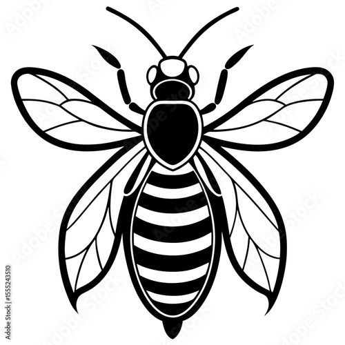 vector illustration of a bee