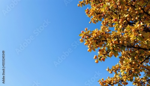 create a high resolution image of a clear daytime sky as a background for photo usage