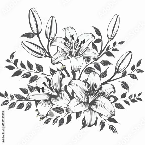 Lily flowers branch with flowers and buds vector illustration on white background