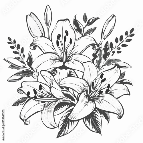 Lily flowers branch with flowers and buds vector illustration on white background