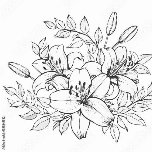Lily flowers branch with flowers and buds vector illustration on white background