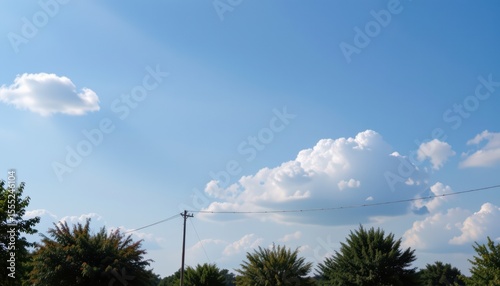 create a photo of a blue sky day with a few puffs of cloud, featuring a subject on the left with brilliant amber tones and plenty of copy space on the right