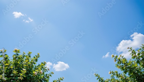 create a vibrant summer scene featuring a blue sky dotted with small clouds in the background, place your subject in the top left corner