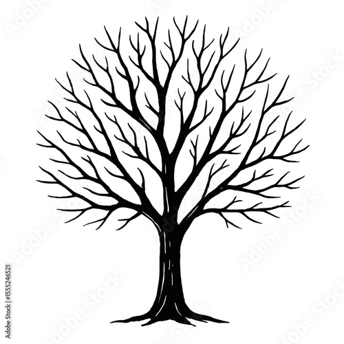 Detailed Black and White Bare Tree Silhouette Vector - Symbol of Winter, Growth, and Nature