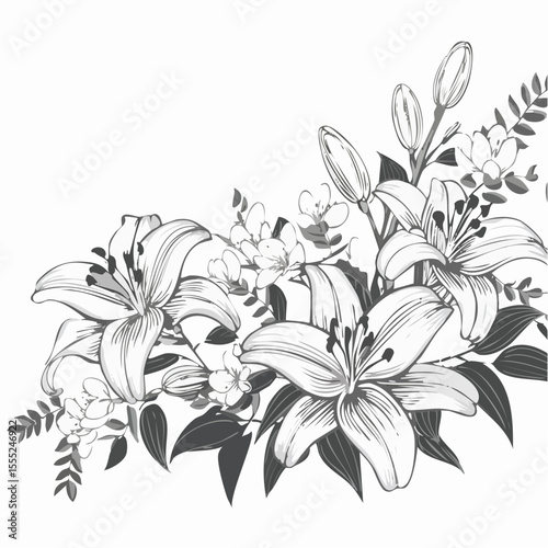 Lily flowers branch with flowers and buds vector illustration on white background