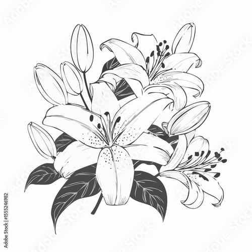 Lily flowers branch with flowers and buds vector illustration on white background