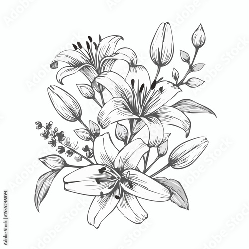 Lily flowers branch with flowers and buds vector illustration on white background