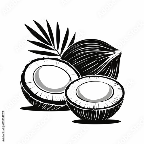 Coconuts Image vector. Delicious Coconuts Cut Out Image vector isolated on white background.