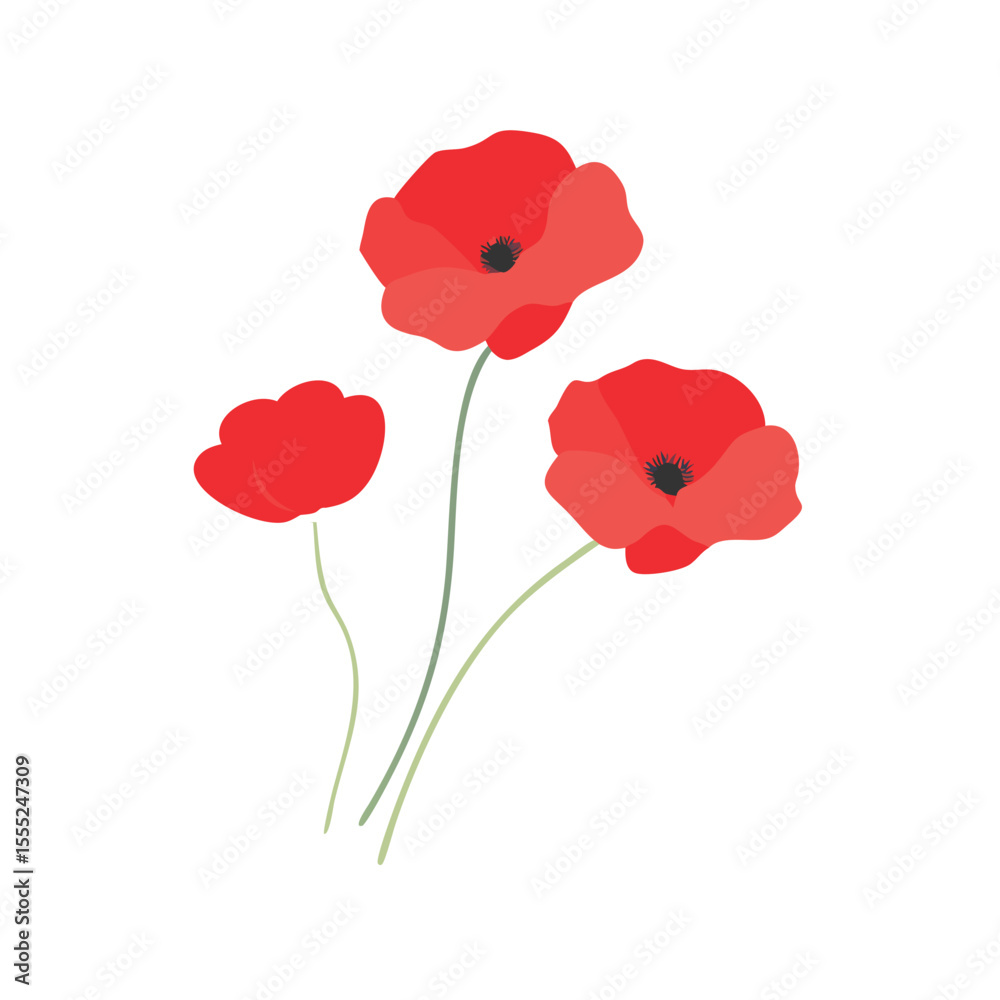 Obraz premium Delicate red poppy flowers in full bloom vector art design 
