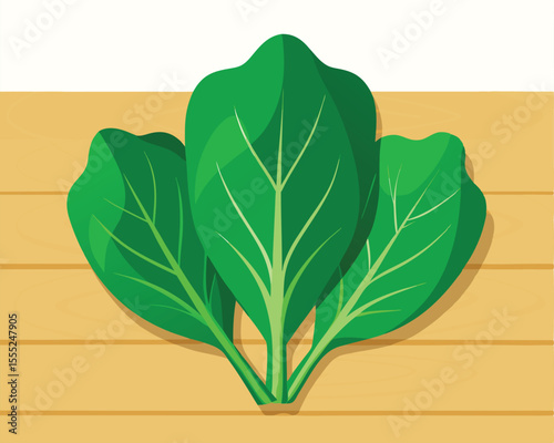 Fresh green sorrel leaves with vibrant color vector art design 