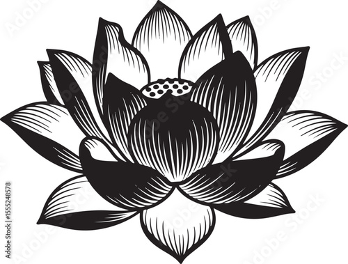 Black and white engraved style lotus flower with detailed petals and center engraving style