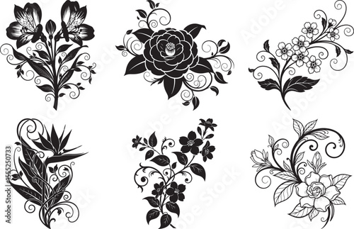 Black and white floral ornamental flourishes and decorative elements vector