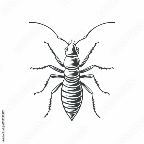 Termite Vector Images. Termite Minimalist Vector Design on white background.