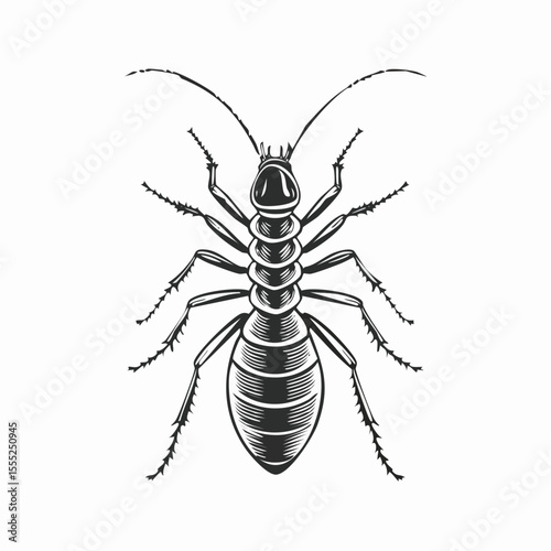 Termite Vector Images. Termite Minimalist Vector Design on white background.