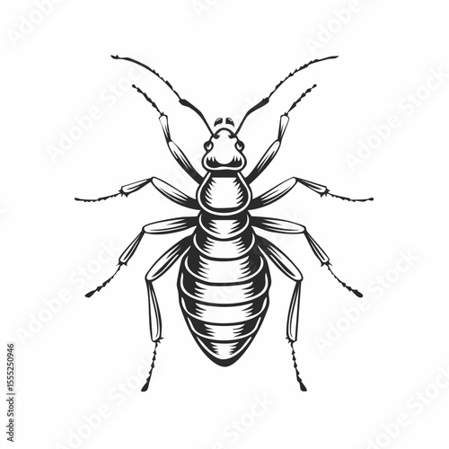 Termite Vector Images. Termite Minimalist Vector Design on white background.