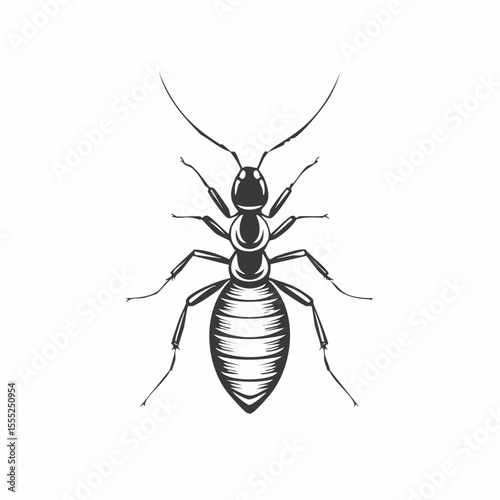 Termite Vector Images. Termite Minimalist Vector Design on white background.